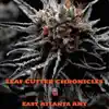 East Atlanta ANT - Leaf Cutter Chronicles